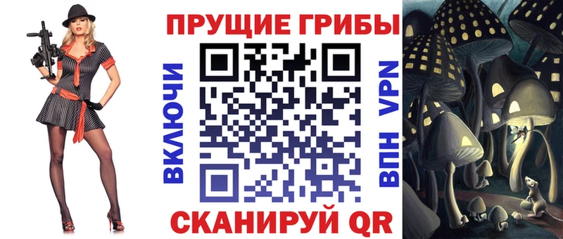 Псилоцибиновые грибы Magic Shrooms  как найти   блэк спрут зеркало  Моздок 