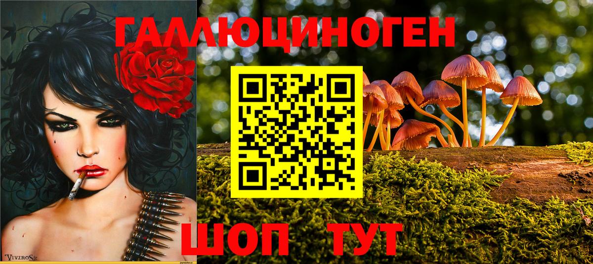 цены   Псилоцибиновые грибы прущие грибы  Вход с VPN  Моздок 