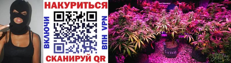 Каннабис тримм сколько стоит darknet какой сайт Моздок